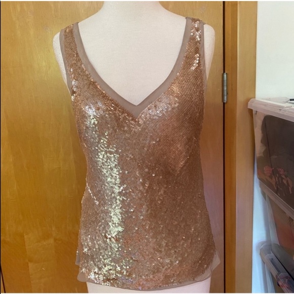 Silk Sequin Blouse - Picture 1 of 5